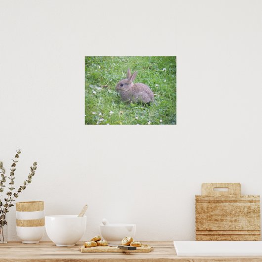Baby Rabbit Poster (Küche)