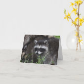 Baby Raccoom Karte (Gelbe Blume)