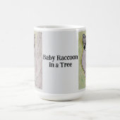 Baby Raccoon in einem Baumhellgrau Kaffeetasse (Mittel)