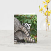 Baby Raccoon Karte (Gelbe Blume)