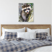 Baby Raccoon Leinwanddruck (Insitu (Schlafzimmer))