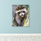 Baby Raccoon Leinwanddruck (Insitu (Holzboden))