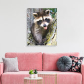 Baby Raccoon Leinwanddruck (Insitu (Wohnzimmer))