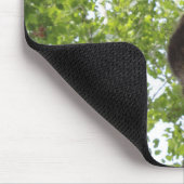 Baby Raccoon Mousepad (Ecke)