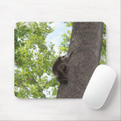 Baby Raccoon Mousepad (Mit Mouse)