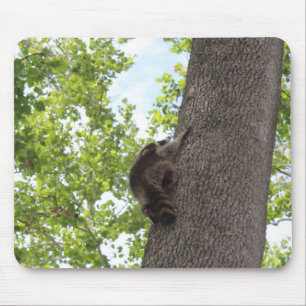 Baby Raccoon Mousepad