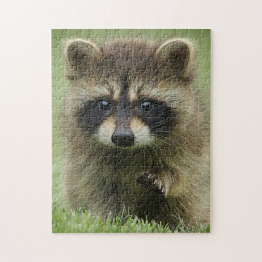 Baby Raccoon Puzzle (Vertikal)