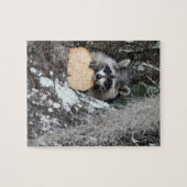 Baby Raccoon Puzzle (Horizontal)