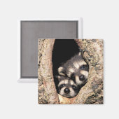 Baby Raccoons Peeking aus Bäume Magnet (Vorderseite/Rückseite)