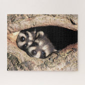 Baby Raccoons Peeking aus Bäume Puzzle (Horizontal)