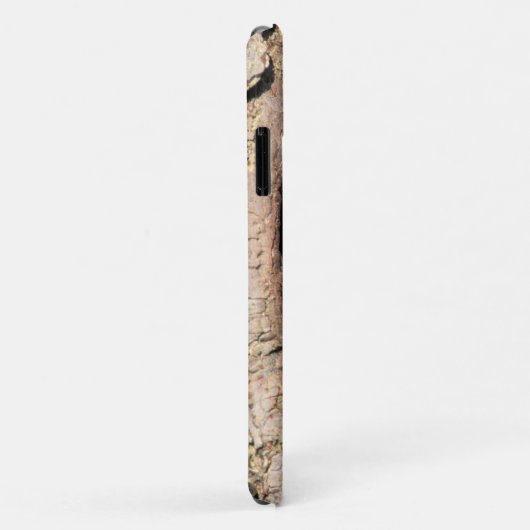 Baby Raccoons pinkeln aus Bäume Case-Mate iPhone Hülle (Hinten/Rechts)