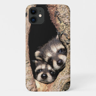 Baby Raccoons pinkeln aus Bäume Case-Mate iPhone Hülle