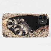 Baby Raccoons pinkeln aus Bäume Case-Mate iPhone Hülle (Rückseite (Horizontal))
