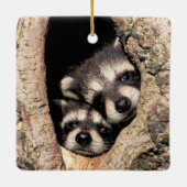 Baby Raccoons pinkeln aus Bäume Keramikornament (Rückseite)