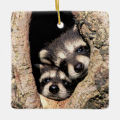 Baby Raccoons pinkeln aus Bäume Keramikornament (Vorderseite)