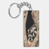 Baby Raccoons pinkeln aus Bäume Schlüsselanhänger (Vorderseite links)