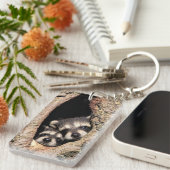 Baby Raccoons pinkeln aus Bäume Schlüsselanhänger (Vorderseite rechts)