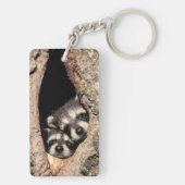 Baby Raccoons pinkeln aus Bäume Schlüsselanhänger (Rückseite)