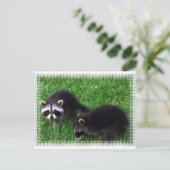 Baby Raccoons Postkarte (Stehend Vorderseite)