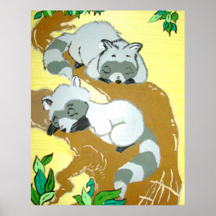 Baby Raccoons Schlafplakat Poster