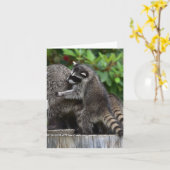 Baby Raccoons und Mama Karte (Gelbe Blume)