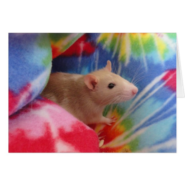 Baby Rat (Vorderseite (Horizontal))