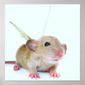 Baby Rat Butterfly Poster (Vorne)