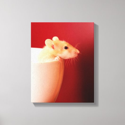 Baby Rat Leinwanddruck (Vorderseite)