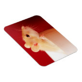 Baby Rat Magnet (Rechte Seite)