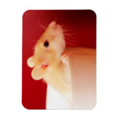 Baby Rat Magnet (Vertikal)