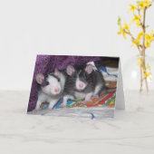 Baby Rats ~card Karte (Gelbe Blume)