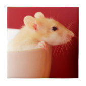 Baby-Ratte Fliese (Vorderseite)