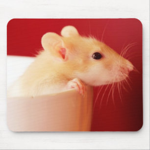 Baby-Ratte Mousepad