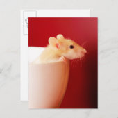 Baby-Ratte Postkarte (Vorne/Hinten)