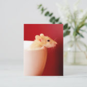 Baby-Ratte Postkarte (Stehend Vorderseite)