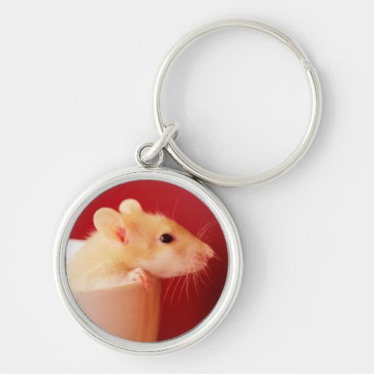 Baby-Ratte Schlüsselanhänger (Vorne)