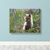 Baby Red Fox Leinwanddruck (Insitu (Holzboden))