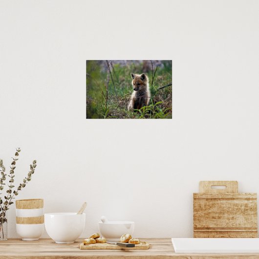 Baby Red Fox Poster (Küche)