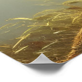 Baby Red Fox Wildlife Portrait Poster (Ecke)