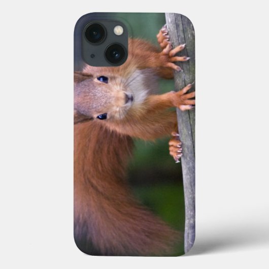 Baby Red iPad Case (Rückseite)