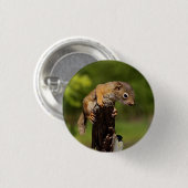 Baby Red Squirrel Button (Vorne & Hinten)