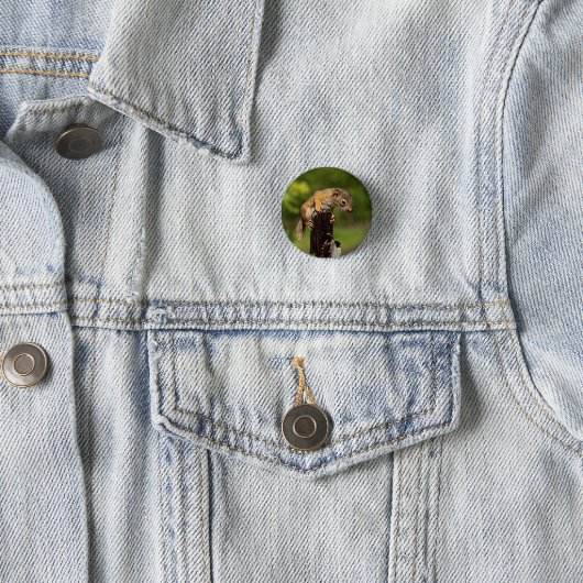 Baby Red Squirrel Button (Beispiel)