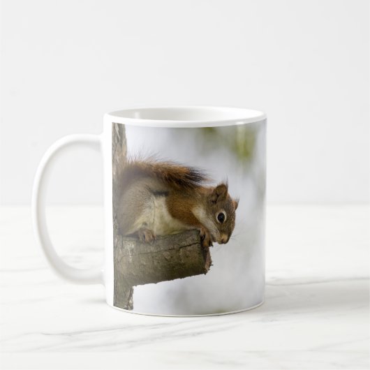 Baby Red Squirrel Kaffeetasse (Links)
