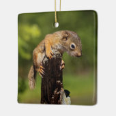 Baby Red Squirrel Keramikornament (Links)