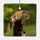 Baby Red Squirrel Keramikornament (Rückseite)