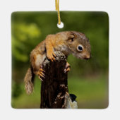 Baby Red Squirrel Keramikornament (Vorderseite)