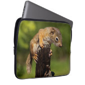 Baby Red Squirrel Laptopschutzhülle (Vorne Rechts)