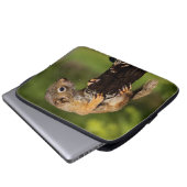Baby Red Squirrel Laptopschutzhülle (Vorne Knopf)