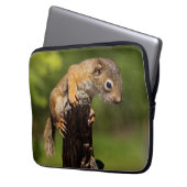 Baby Red Squirrel Laptopschutzhülle (Vorderseite Links)