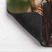 Baby Red Squirrel Mousepad (Ecke)
